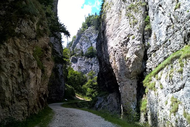 Perfect bike tour around Brasov - Who will enjoy this ride most