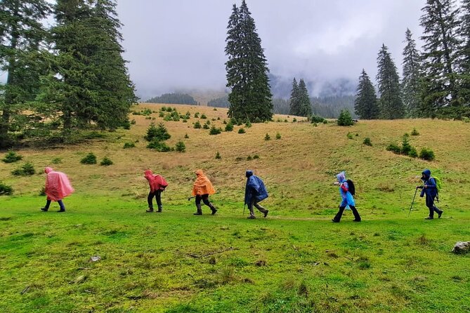 Pestera and Magura Full-Day Private Walking Tour from Brasov - Key points to know before you book