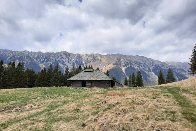 Pestera and Magura Full-Day Private Walking Tour from Brasov - Magura and the views over Piatra Craiului