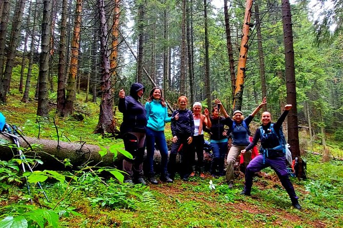 Pestera and Magura Full-Day Private Walking Tour from Brasov - Who should book this walk?