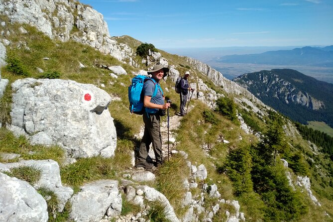 Piatra Craiului National Park Private Hiking Tour from Brasov - The optional Bran Castle stop