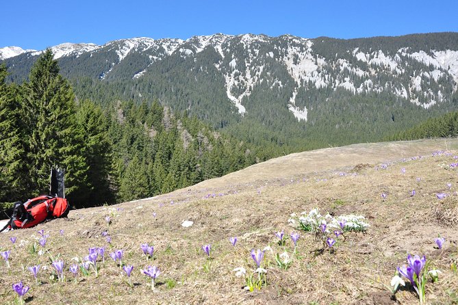 Piatra Craiului National Park Private Hiking Tour from Brasov - What the $126.98 price delivers