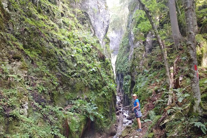 Piatra Craiului National Park Private Hiking Tour from Brasov - Who should book this mountain day?