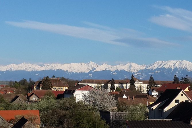 Private 5-Day Tour in Transylvania from Bucharest Hotel Pick-up and Drop off - Day two: bears, Viscri, and Sighișoara