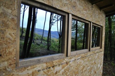 Private Brown Bear Watching Experience near Odorheiu Secuiesc