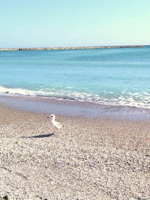 Private Bucharest Tour: Discover Constanța & Black Sea Coast - What the private vehicle changes