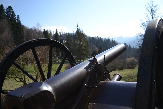 Private Day Tour: Dracula's Castle and Peles Castle - Timing, comfort, and the long road home