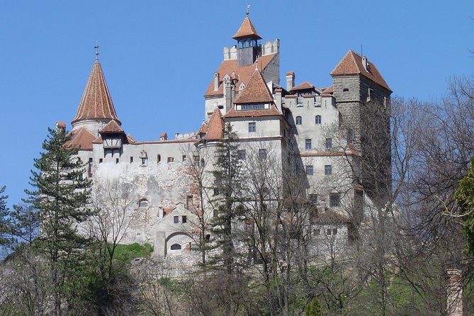 Private Day Tour from Brasov to Rasnov Fortress - Bran Castle and the real Dracula connection