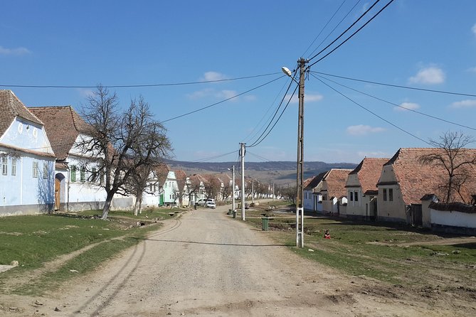 Private Day Tour Sighisoara and Viscri from Brasov with Hotel Pick Up/ Drop Off - Sighisoara Citadel: towers, lanes, and pastel houses