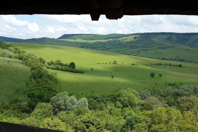 Private Day Tour Sighisoara and Viscri from Brasov with Hotel Pick Up/ Drop Off - What the guide adds