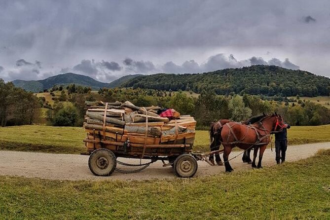 Private Day Tour to Historical Villages in Sinaia - Pelișor offers a smaller royal story