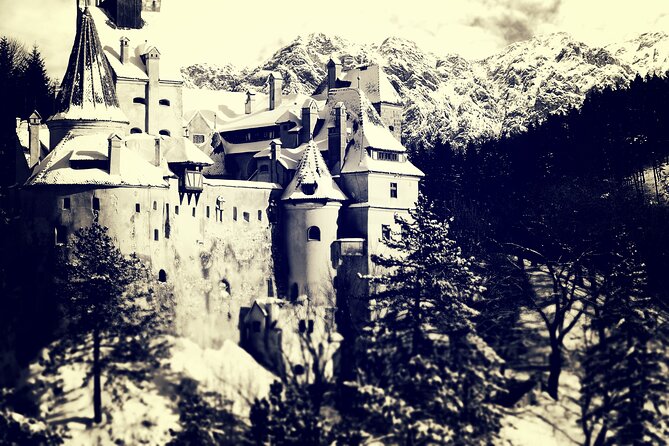 Private Day Trip to Peles and Bran from Bucharest - What the private guide adds