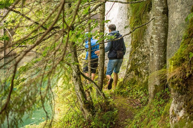 Private Daytrip Hike to Bucegi Mountains - Walking through Zănoaga Dreamland