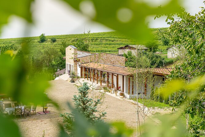 Private Tasting Expedition Along Romania’s Most Famous Wine Route - Two tastings, two points of view