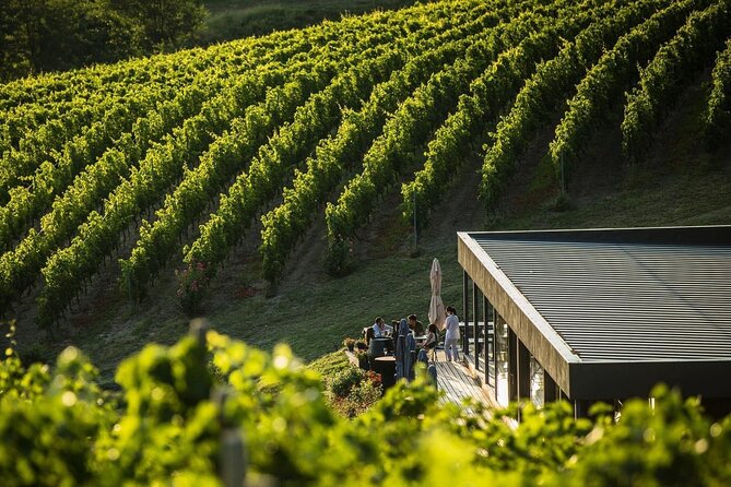 Private Tasting Expedition Along Romania’s Most Famous Wine Route - Leaving Bucharest at 9:00 a.m.
