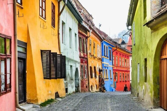 Private Tour from Bucharest to Transylvania- 2 Days Experience - Viscri, a village stop with a royal connection