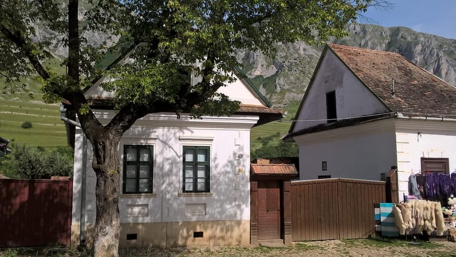 Private tour to Turda Salt Mine, Rimetea and Alba Iulia - The guide and the private-car format