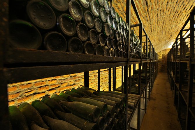 Private Walking Tour of Alba Iulia Citadel with Wine Tasting - Why the cellar setting matters