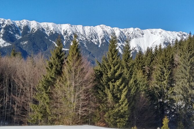 Rambling in Transylvania - Why the guide matters here