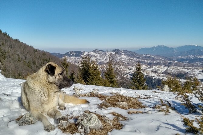 Rambling in Transylvania - Lunch at a local guesthouse