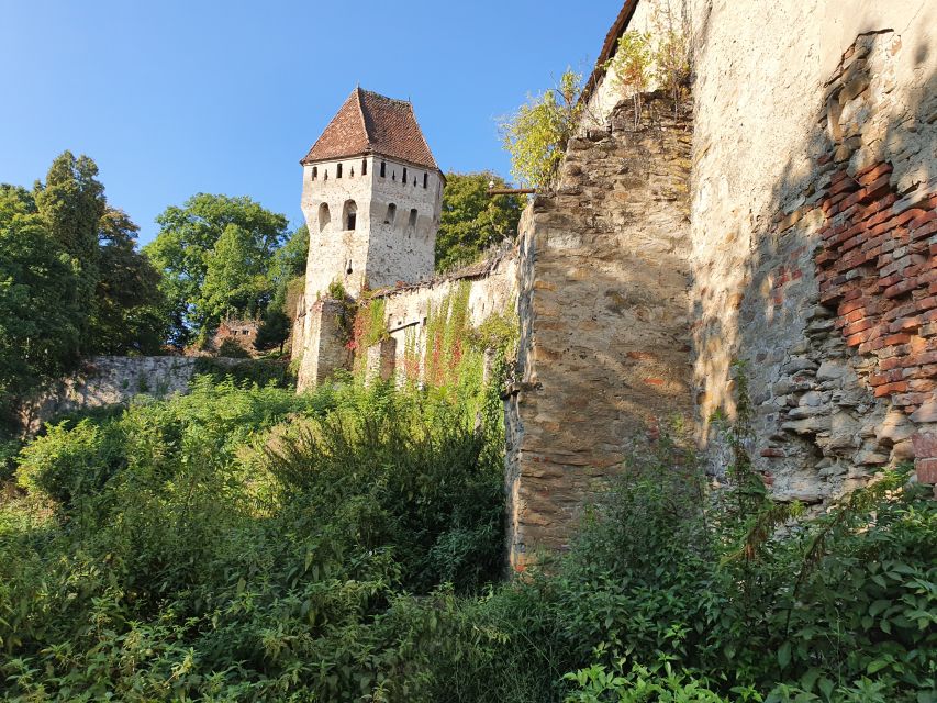 Real Dracula Princely Court and Real Dracula's Fortress - How the private format changes the day