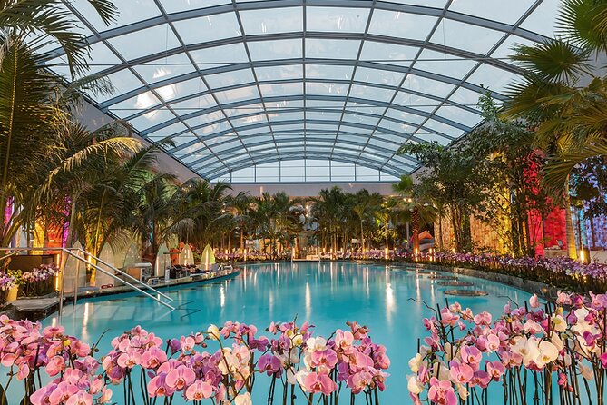 Relax and Fun at Thermal Spa Bucharest (Admission Ticket) - Key points before you book