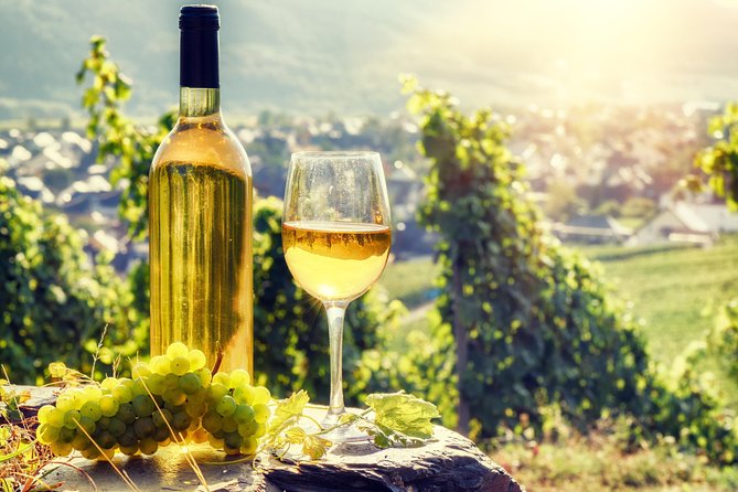 Romanian Wine Tasting - LacertA Winery: start with how wine is made