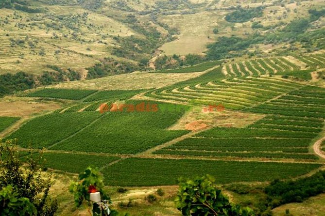 Salt Mine , Lunch at Winery & Dracula Grave - Private Tour - Why this private day trip works