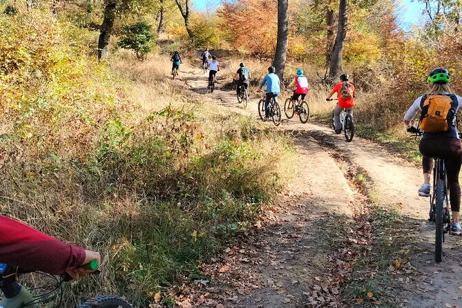 Sambata de Sus: E-Bike Guided Tours - Key points to know before you book
