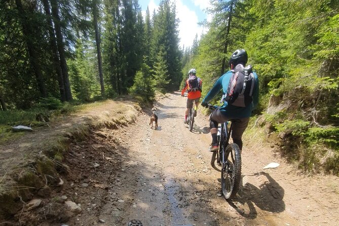 Sambata de Sus: E-Bike Guided Tours - Weather, cancellations, and the sensible backup plan