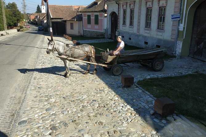 Saxon Heritage in Transylvania: Day Trip from Cluj-Napoca - Cristian’s fortified church and village traditions