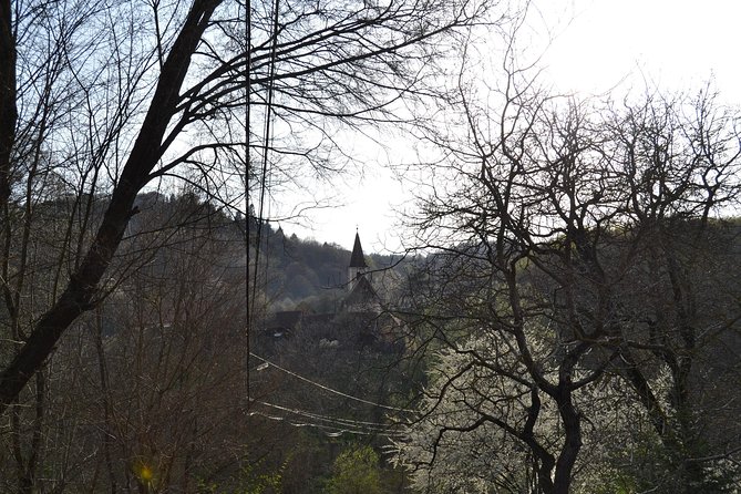 Saxon Heritage in Transylvania: Day Trip from Cluj-Napoca - Sibiel, Fântânele, and a taste of local life