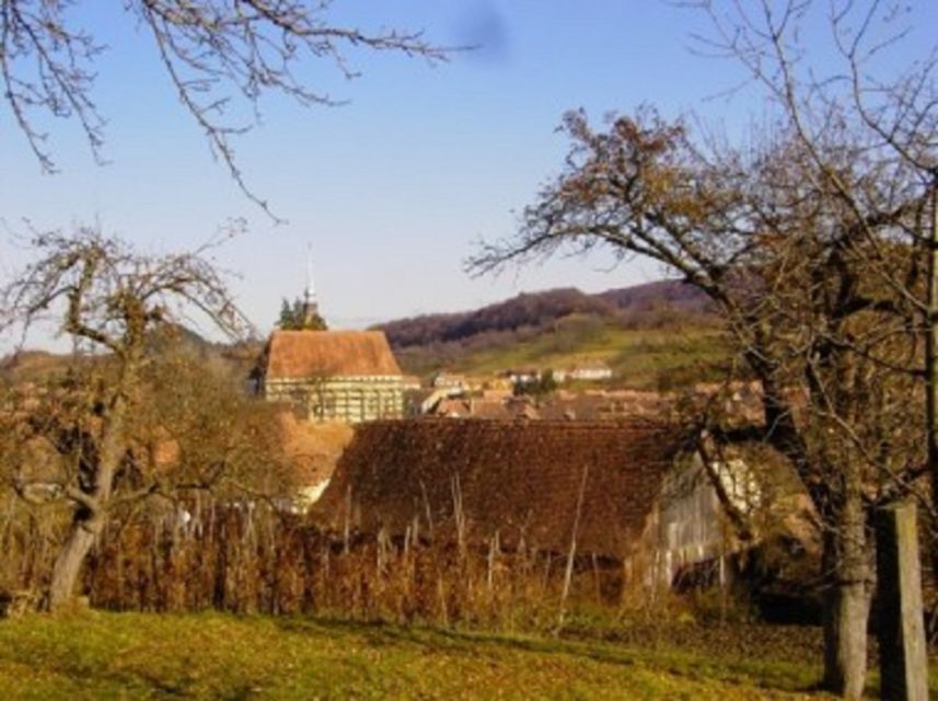 Saxon Secrets: The Malancrav & Biertan Experience - Key points to know before you book
