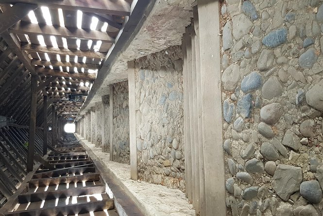 Secrets of the Citadels: Brașov, Viscri, Sighișoara and Sibiu - Who should book this Transylvania tour?