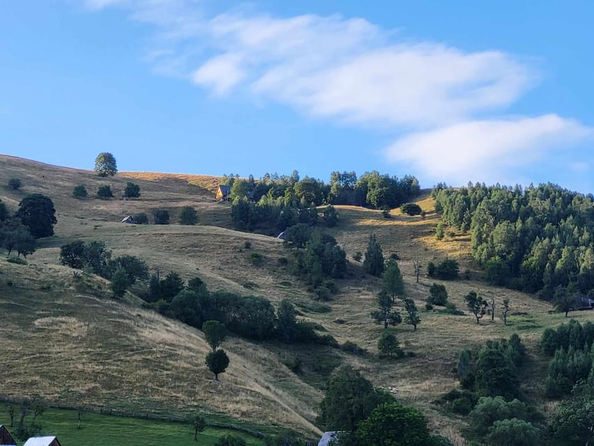 Sibiu: Cindrel Mountains Hike with Traditional Brunch - From Parcare Thalia to the Cindrel Mountains
