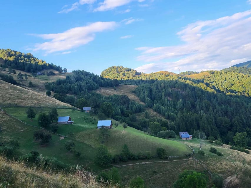 Sibiu: Cindrel Mountains Hike with Traditional Brunch - Forest paths, meadows, and mountain views