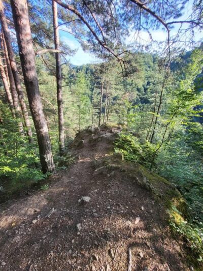 Cindrel Mountains Hike with Traditional Brunch