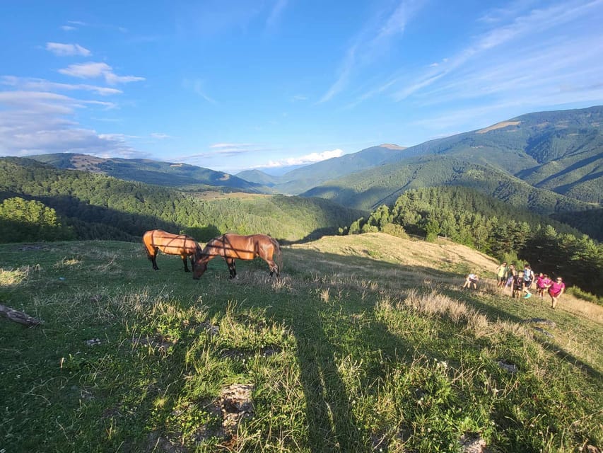 Sibiu: Cindrel Mountains Hike with Traditional Brunch - Who will enjoy this hike most