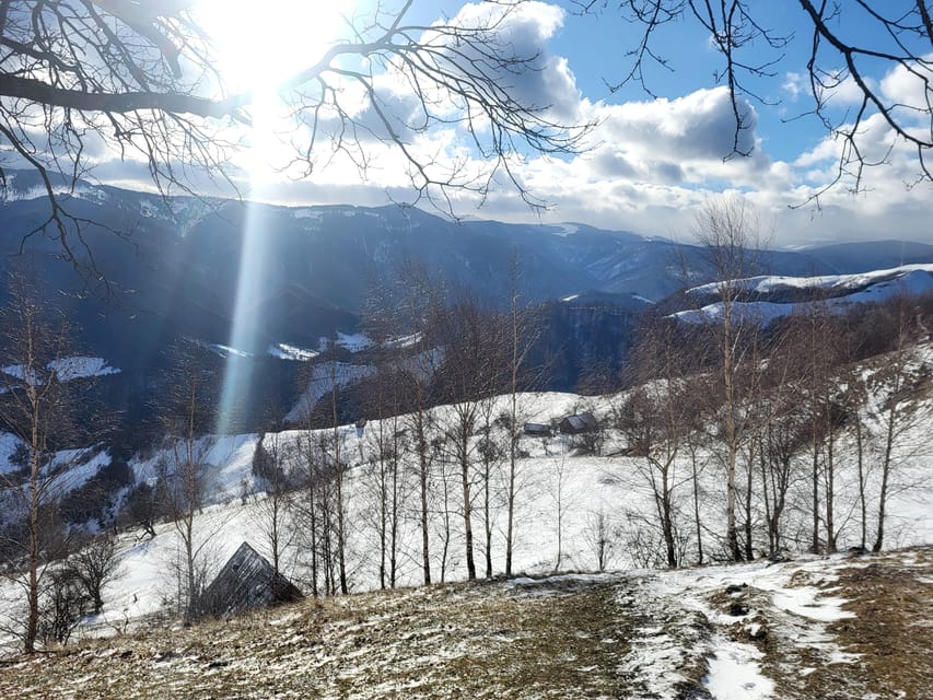Sibiu: Cindrel Mountains Hike with Traditional Brunch - Should you book the Cindrel Mountains hike?