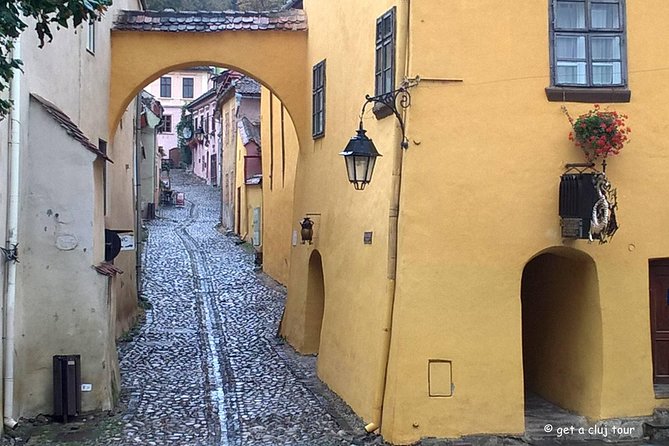 Sighisoara, UNESCO & wine tasting (1 day, from Cluj) - Sighisoara’s citadel and its nine surviving towers