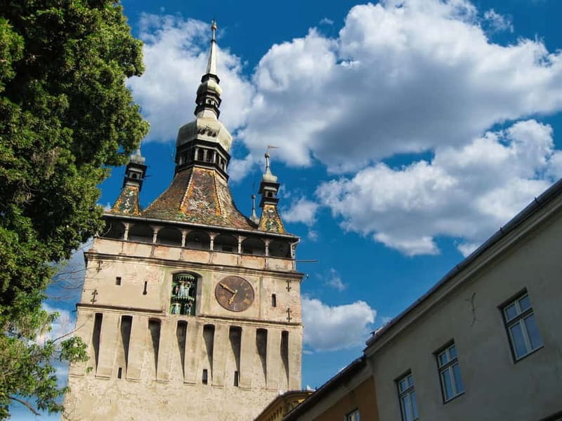 Sighisoara & wine tasting (from Cluj) - Why this Cluj to Sighișoara day trip works
