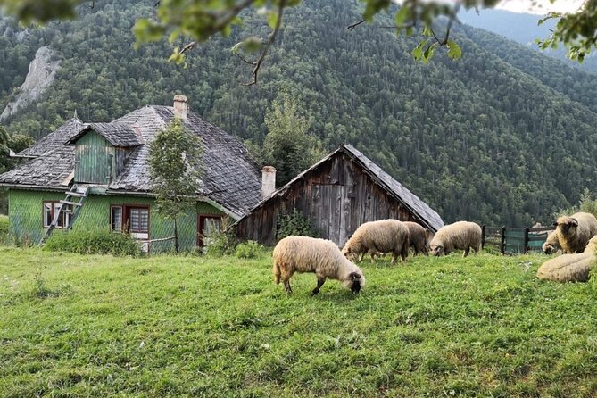 Slanic Salt Mines & Village Charms: Bucharest Day Escape - Should you book the Slanic Salt Mines tour?