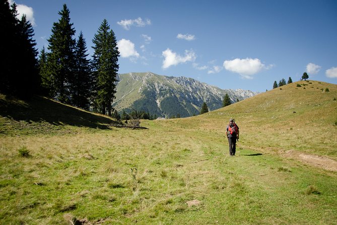 Small-Group Day Trip in Romanian Authentic Mountain Villages from Brasov - Who should book this mountain day