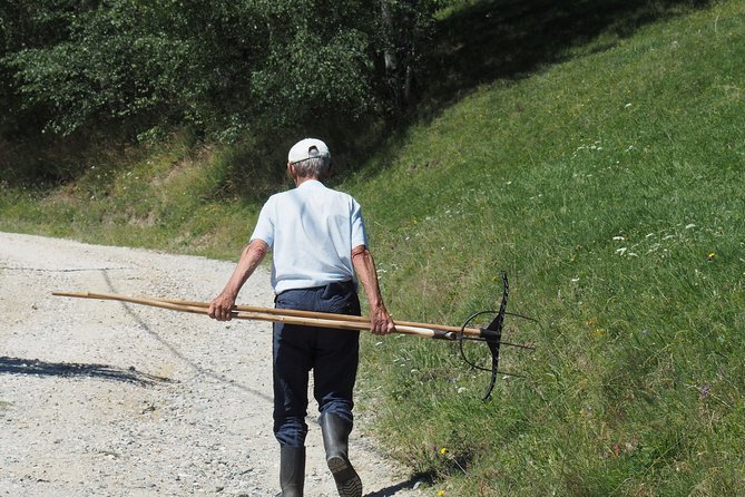 Small-Group Day Trip in Romanian Authentic Mountain Villages from Brasov - Lilicilor Cave and the first taste of wild country