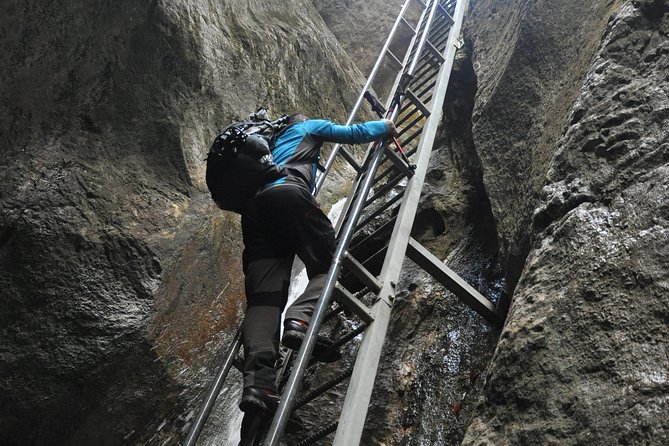 Small-Group Day Trip to the Epic 7 Ladders Canyon from Brasov - Why Seven Ladders Canyon makes a strong half-day outing