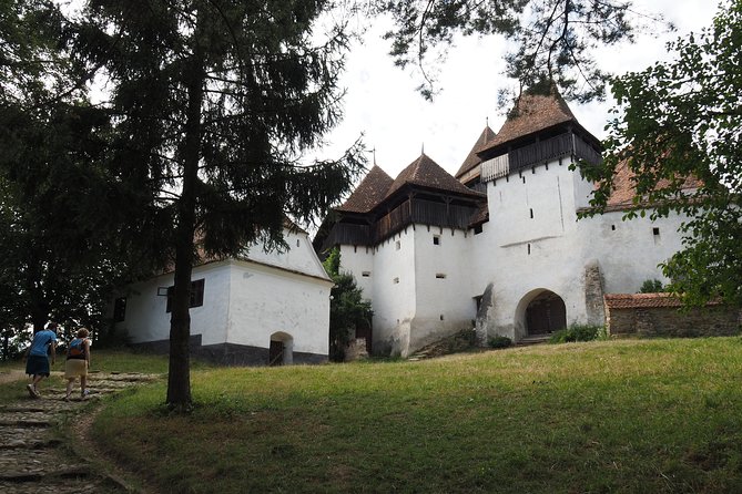 Small Group Tour to Viscri Church Sighisoara Town Rupea Fortress - Who Should Book This Day Trip?