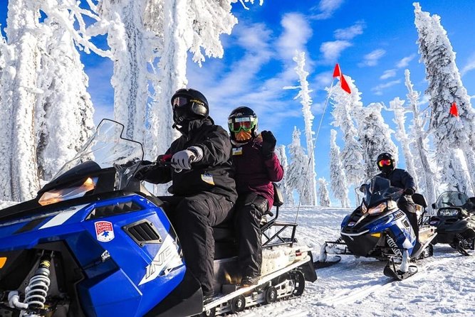 Snowmobiles, Sky Lift & Winter Sports - Private Tour - The real cost: $155.33 plus 80€ in cash