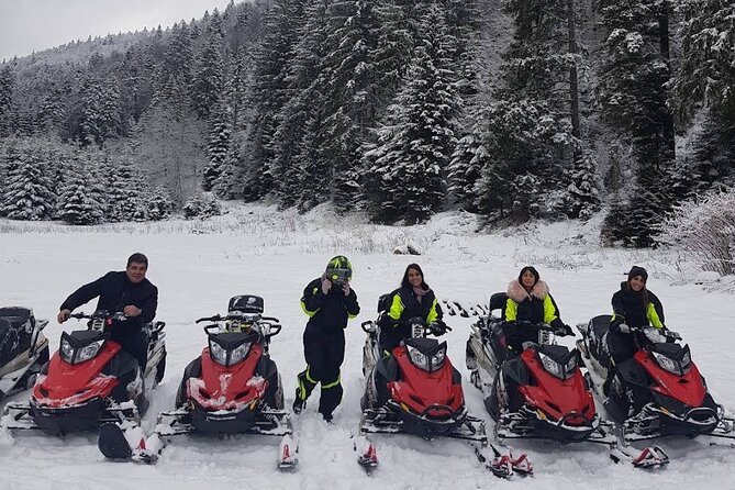 Snowmobiles, Sky Lift & Winter Sports - Private Tour - Why the guide can make or break the day