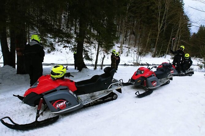 Snowmobiles, Sky Lift & Winter Sports - Private Tour - Snow, weather, and the November to April season