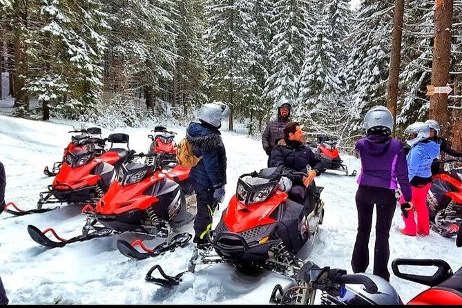 Snowmobiles, Sky Lift & Winter Sports - Private Tour - Who will enjoy this private winter outing
